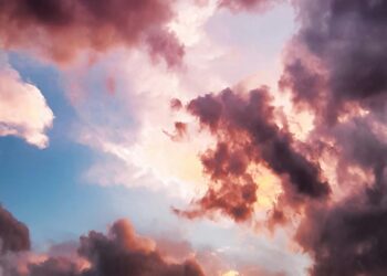 İnsan İnatla Yaşar: Sennur Sezer Şiiri Üzerine / Nükhet Eren