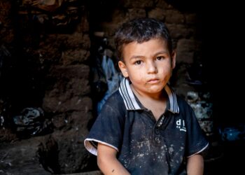 Ziyankâr / Ayfer Kayaaltı