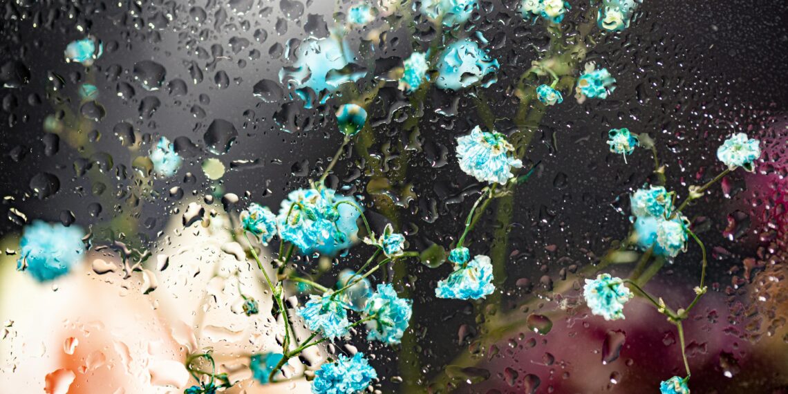 İsimsiz / Selma Gül Aksin