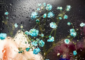 İsimsiz / Selma Gül Aksin