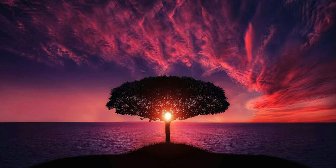 Rengin Hafızası / Gökşen Erata