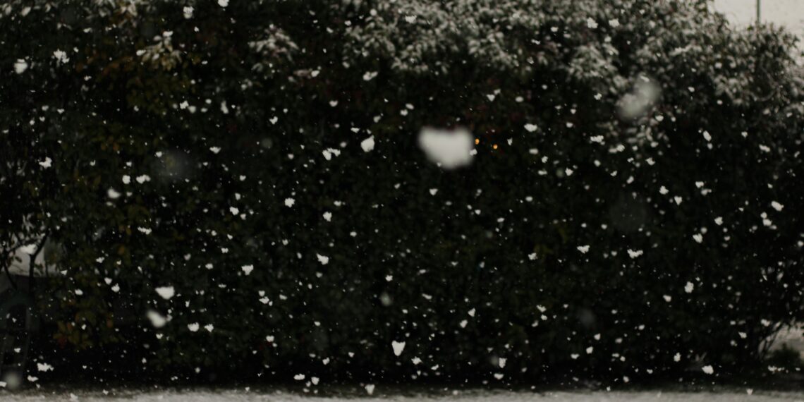 BEYAZ KIYAMET / EBRAR KARTAL