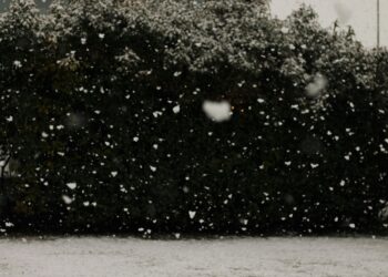 BEYAZ KIYAMET / EBRAR KARTAL