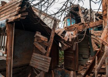 ÇARESİZ BURUK ACILAR