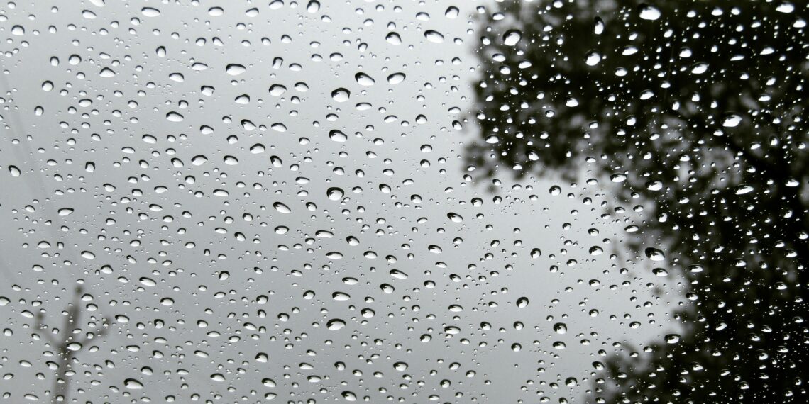 Veda / Zekine Dündar