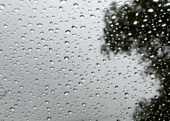 Veda / Zekine Dündar