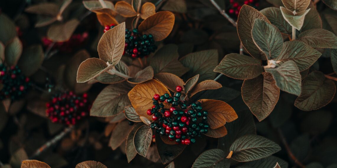 Toprak Belleğinin Kırık Aynası / Oğuz Kağan Aydos