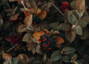 Toprak Belleğinin Kırık Aynası / Oğuz Kağan Aydos