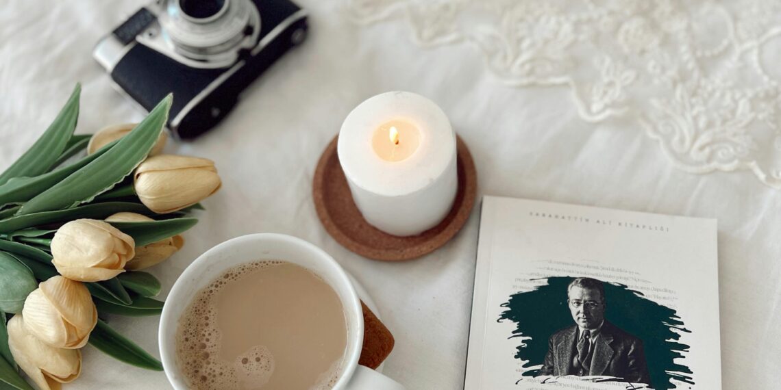 Sabahattin Ali / Aylin Çetin