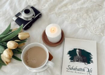 Sabahattin Ali / Aylin Çetin