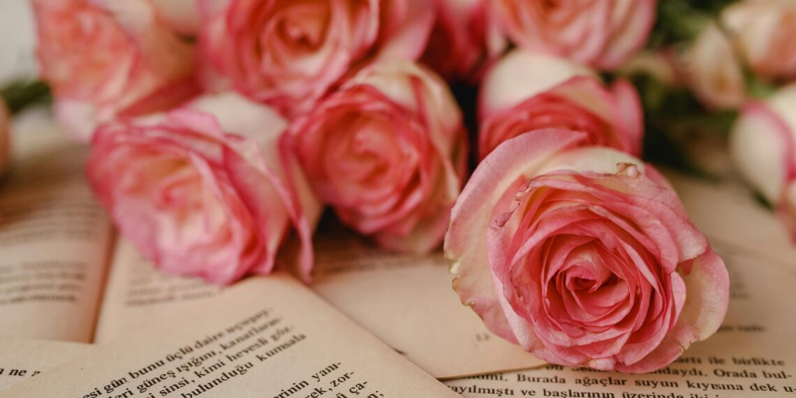 Acılar Uyusun / Sevgi Erol Öçal