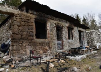 Yangı / Berzah Özgü Özalp