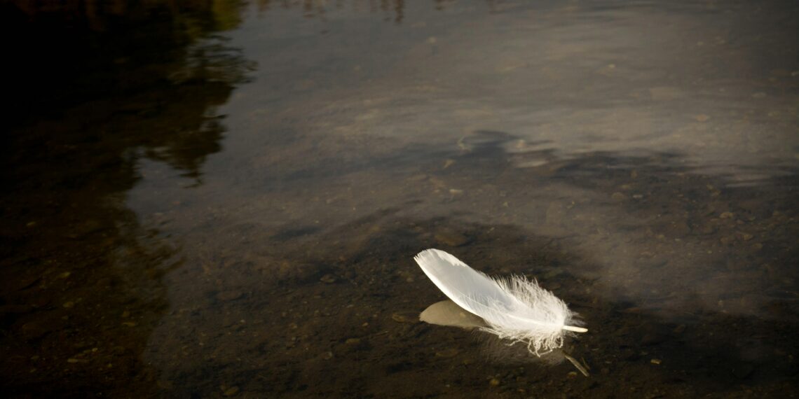 Ayna / Hasan Turunç