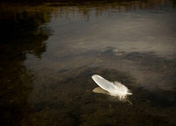 Ayna / Hasan Turunç