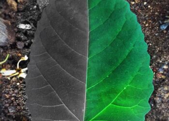 KARANLIK DÜNYAMIN MELODİSİ / SULTAN GİZEM KOÇAK