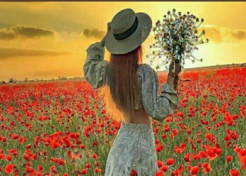 Çok Severim Gelincikleri / Selda BAL