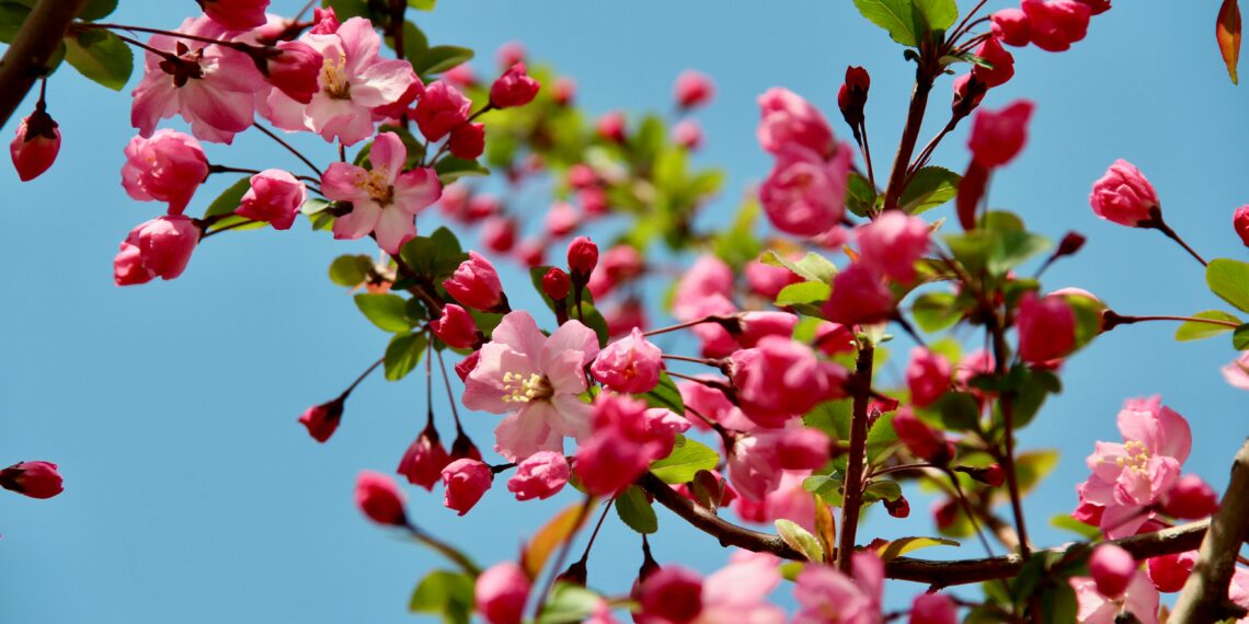 Hayali Sükut / Tülay İlhan