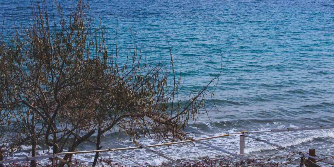 Bu Sabah Deniz / Oktay Ercanlı