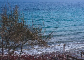 Bu Sabah Deniz / Oktay Ercanlı