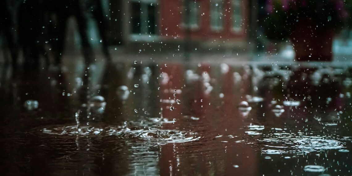 Hayal / Hatice Gül Taşdemir