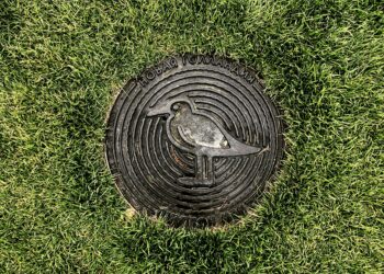 Kanalizasyon / Yusuf Tümer