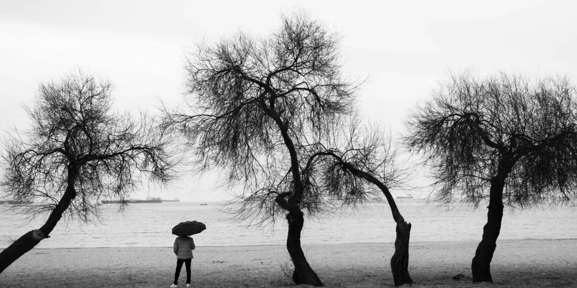 40′ lık / Feyzullah Fatih Çankara