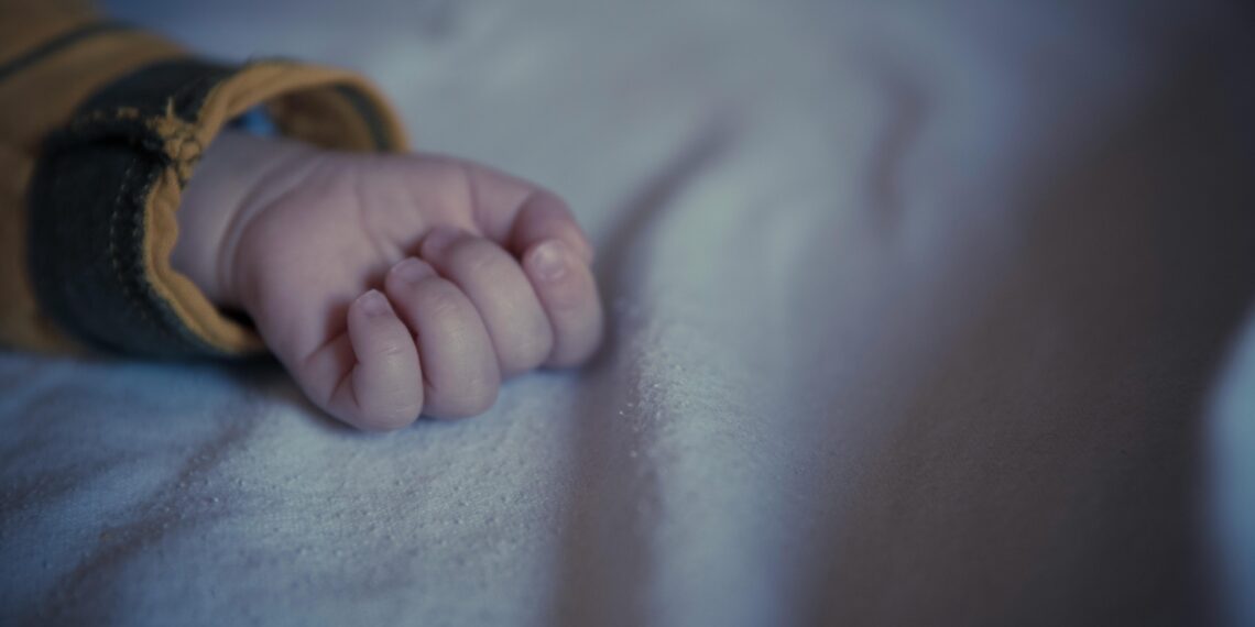 Dünya / Miyase Ören