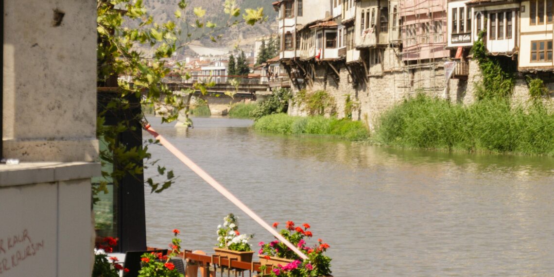 Mühürlü Yansımalar / Tuğçe Dal