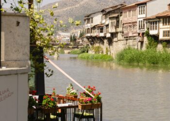 Mühürlü Yansımalar / Tuğçe Dal