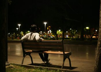 Geç Gelen Bahar / Feyzullah Fatih Çankara