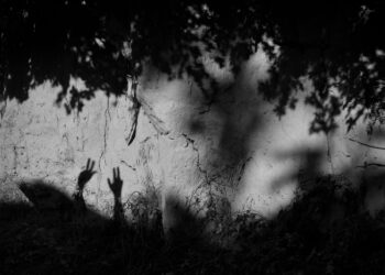 Niyetlerimi Aklımla Taltif Et / Gaius Flavius Divinus