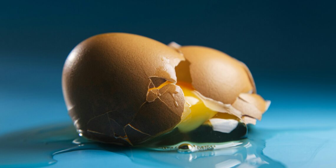 Yumurta / İsmail Ovayurt