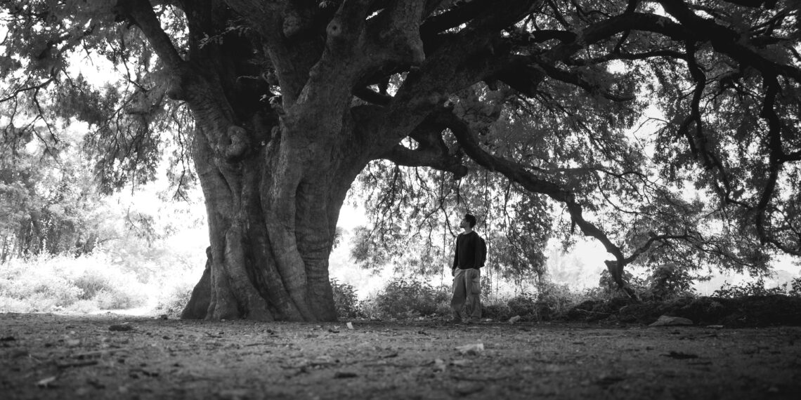 Deprem Görmüş Ağaç Gibi / İbrahim Ağören