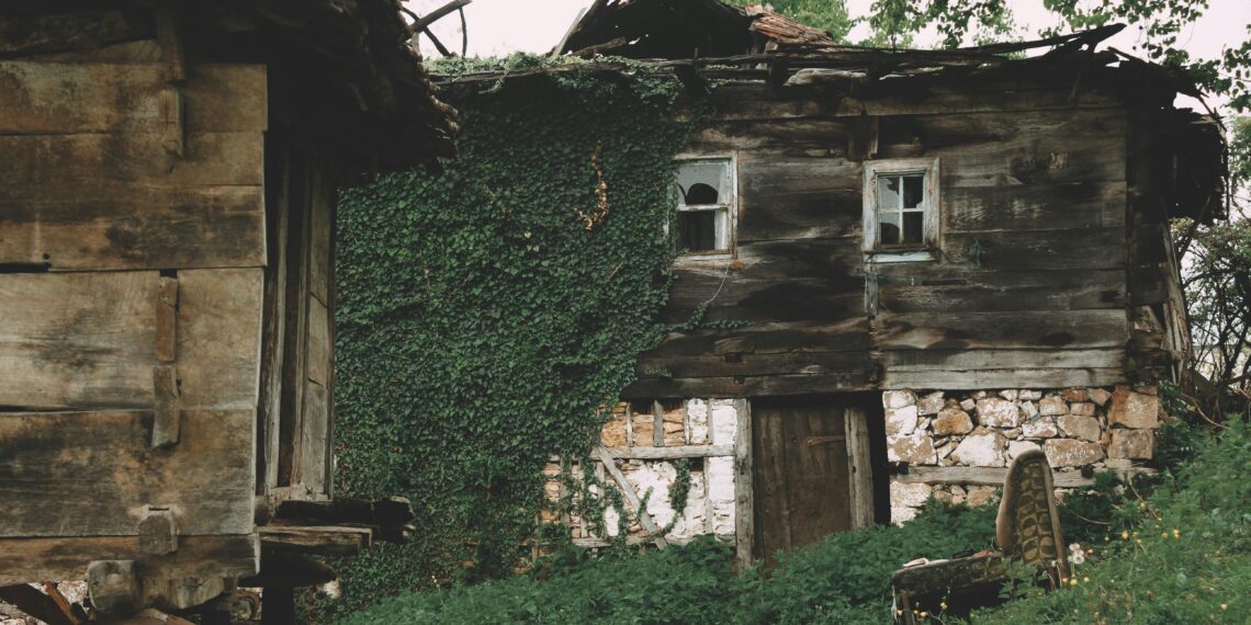 Sevgi Niyesizdir / Eyüp Toru