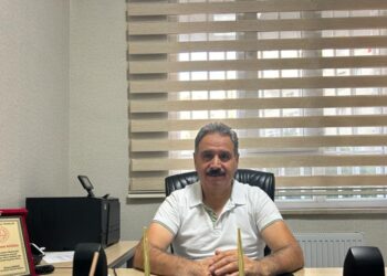 Bir gülsen