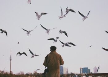 Veda Miktarınca  / Salih Melikoğlu