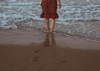 Zehra’nın Düşü / Meryem Sönmez