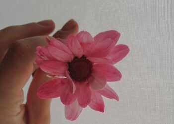 Her Şeye Rağmen / Zeynep Çiçek