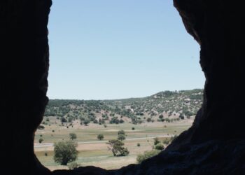 Tilki Deliği / Vina