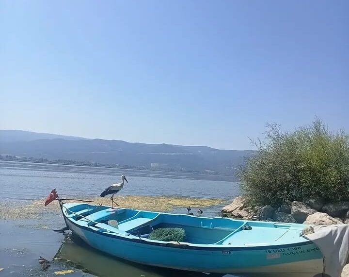 Yüzleşme