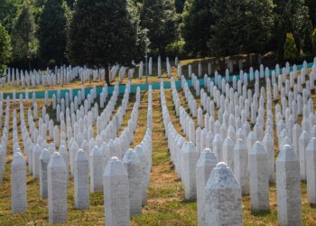 İnsan Avı / Eyüp Toru