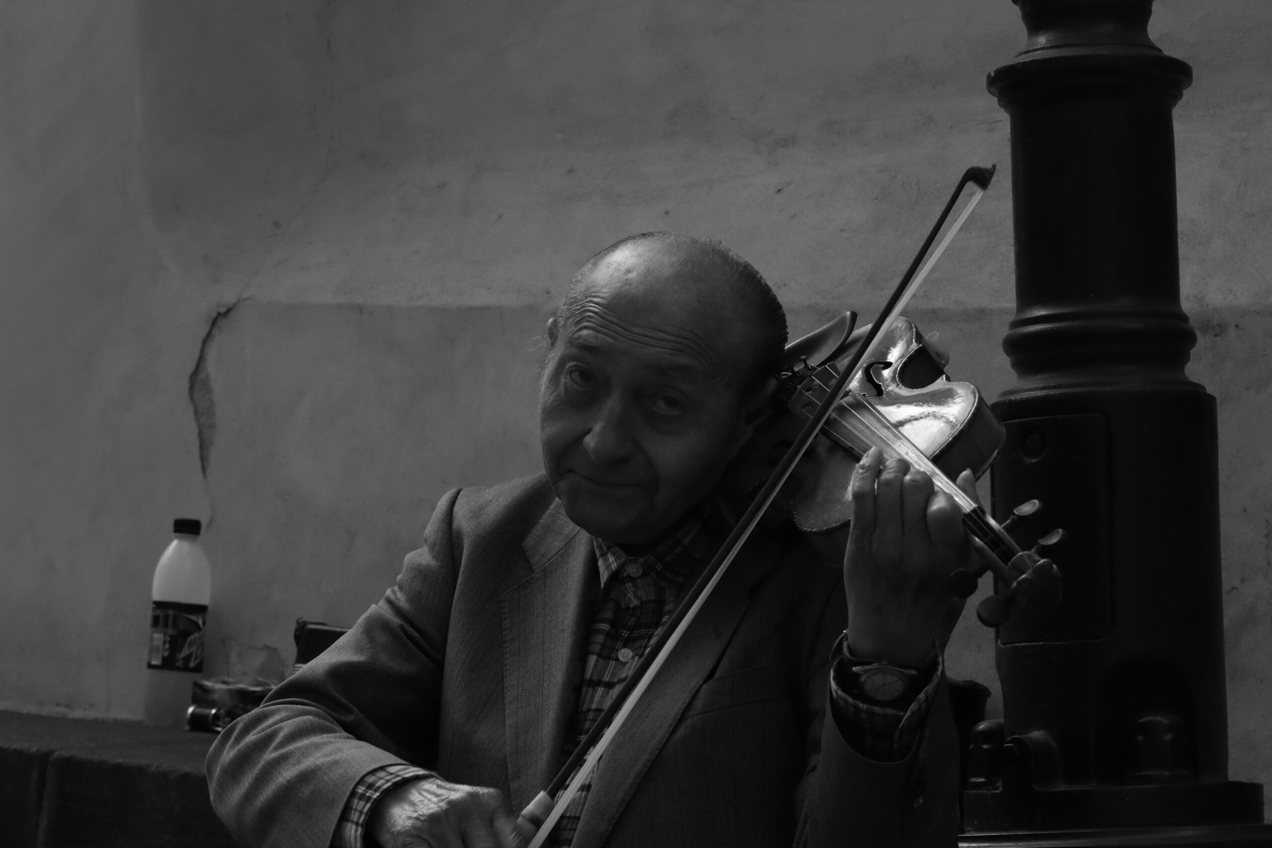Hayat Kadını / Mehmet Özkendirci
