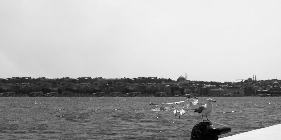 Ki Aşk Ararken Bulunmaz / İbrahim Damar