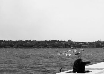 Ki Aşk Ararken Bulunmaz / İbrahim Damar