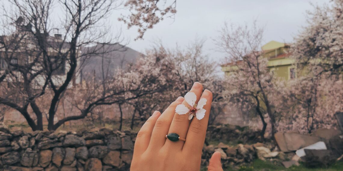 Tercih / Ulviye Kara Akcoş