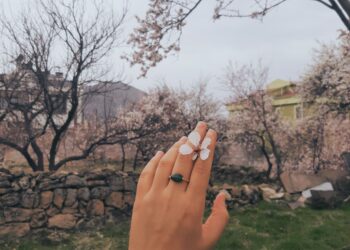 Tercih / Ulviye Kara Akcoş
