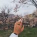 Tercih / Ulviye Kara Akcoş