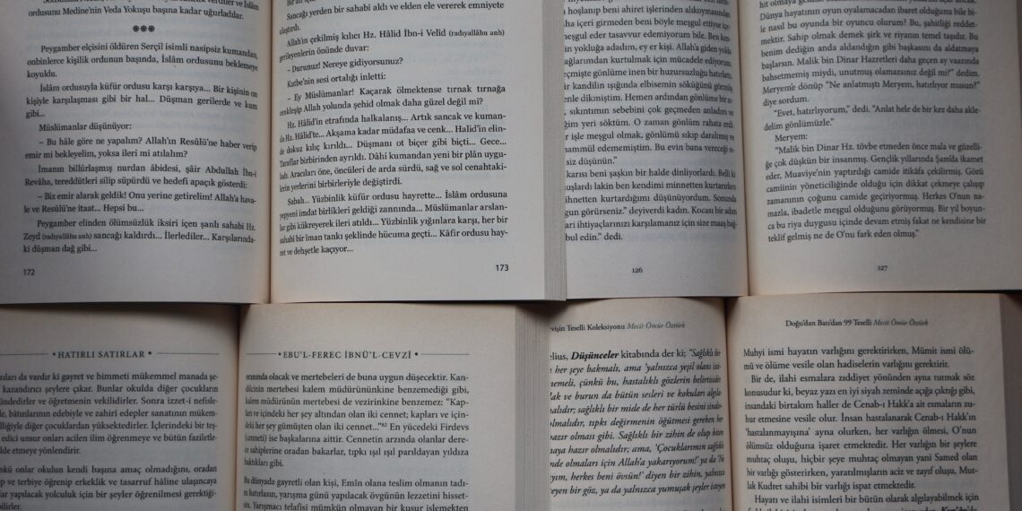 Salacak-Harem ( Murat Saraçoğlu) Kitap İncelemesi / Dursaliye Şahan