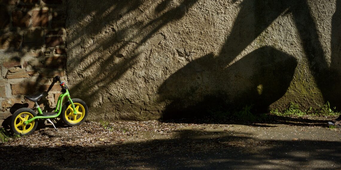 Üç Oda Bir Salon / Mehmet Uysal